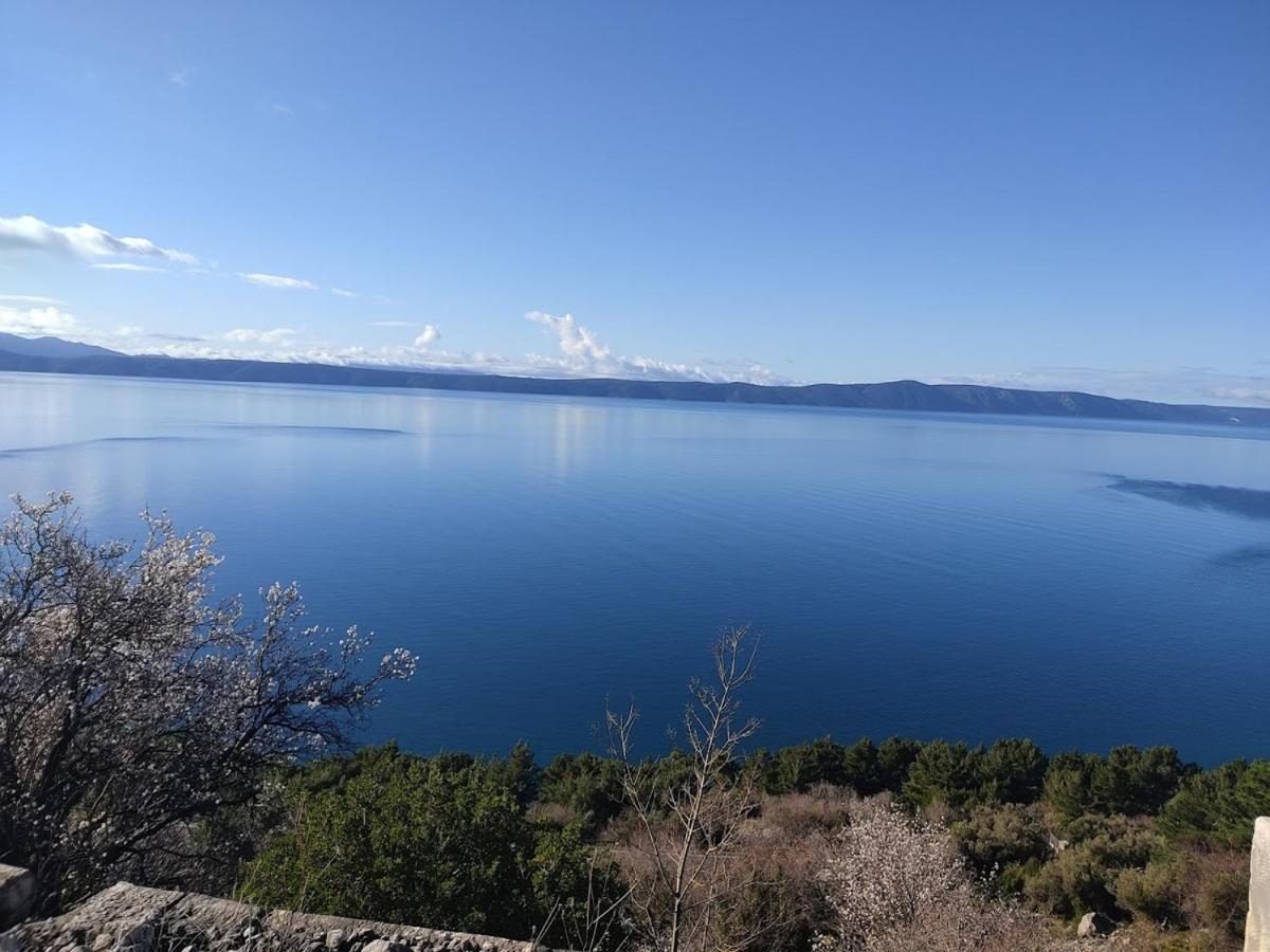 Apartman Krzenic With Sea View